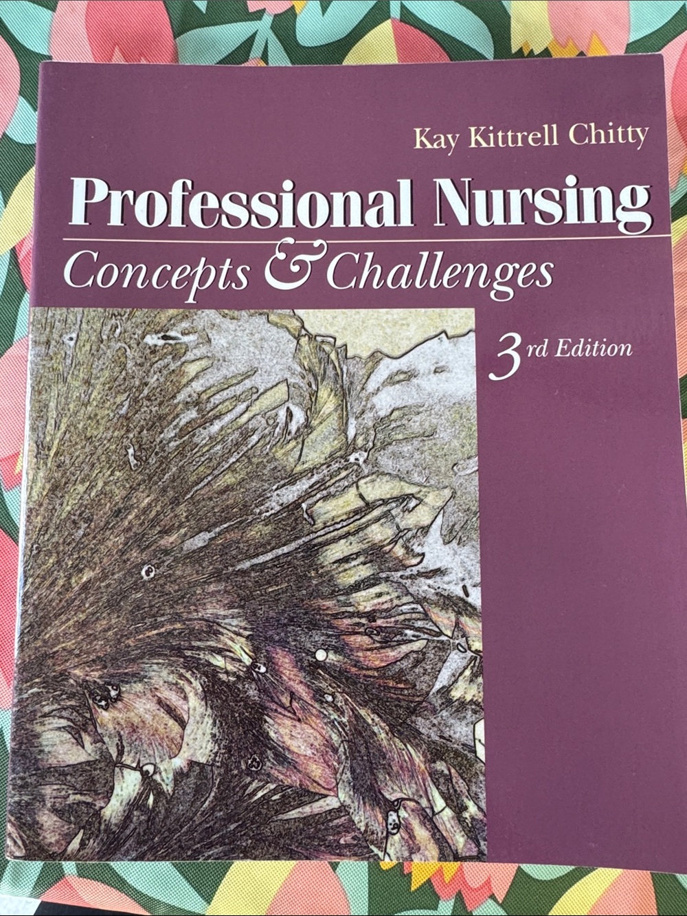 Professional Nursing: Concepts & Challenges - 3rd Edition (Kay Kittrell Chitty)